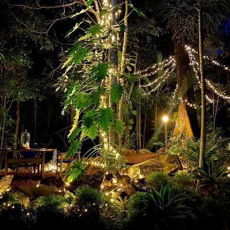 Cairns Rainforest Retreat Extérieur photo