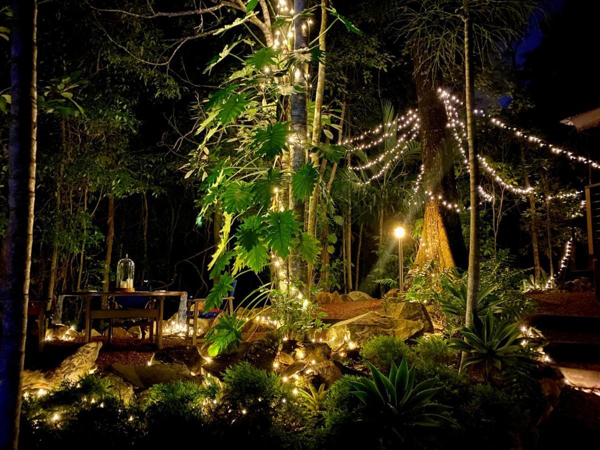 Cairns Rainforest Retreat Extérieur photo
