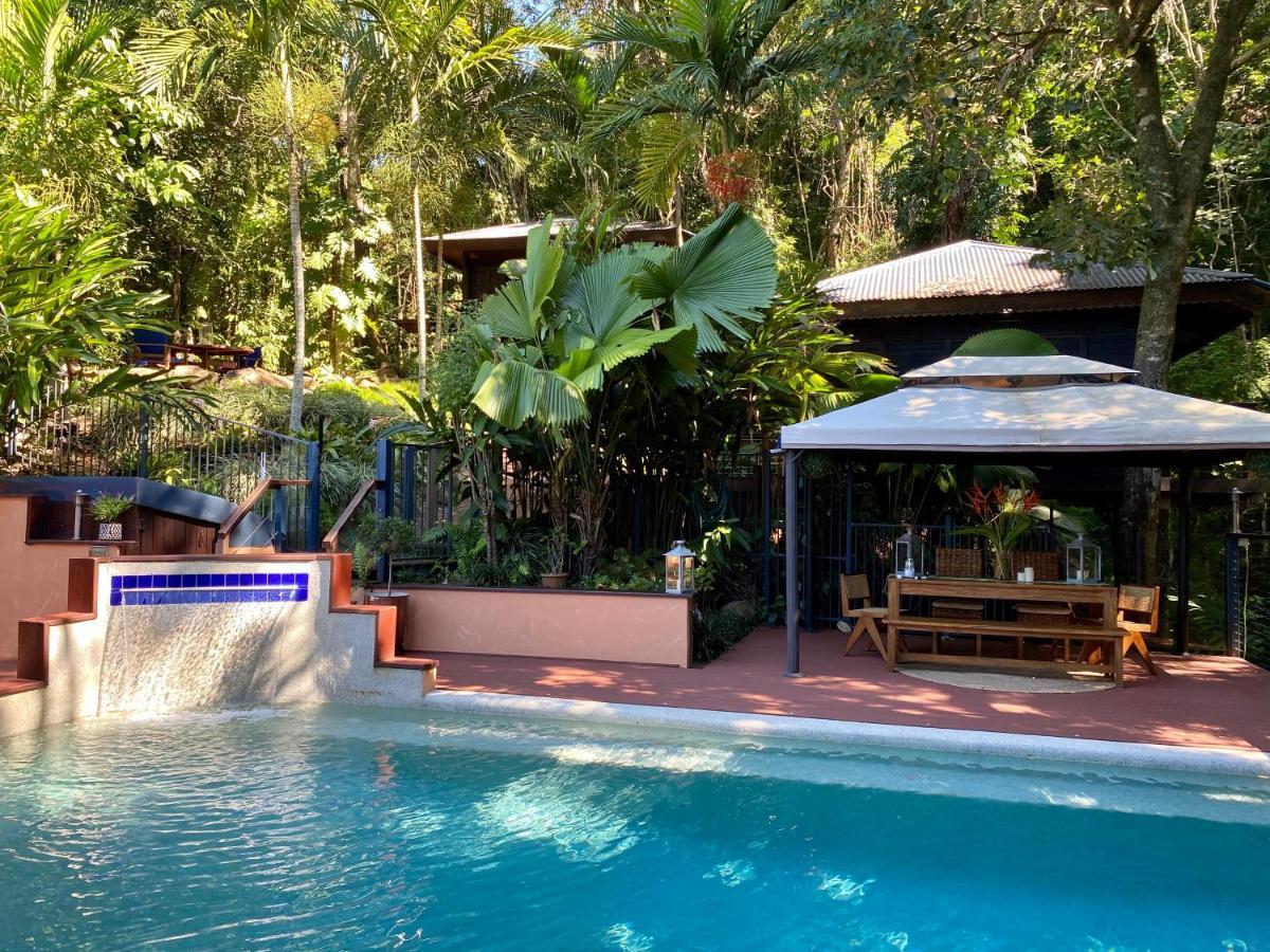 Cairns Rainforest Retreat Extérieur photo