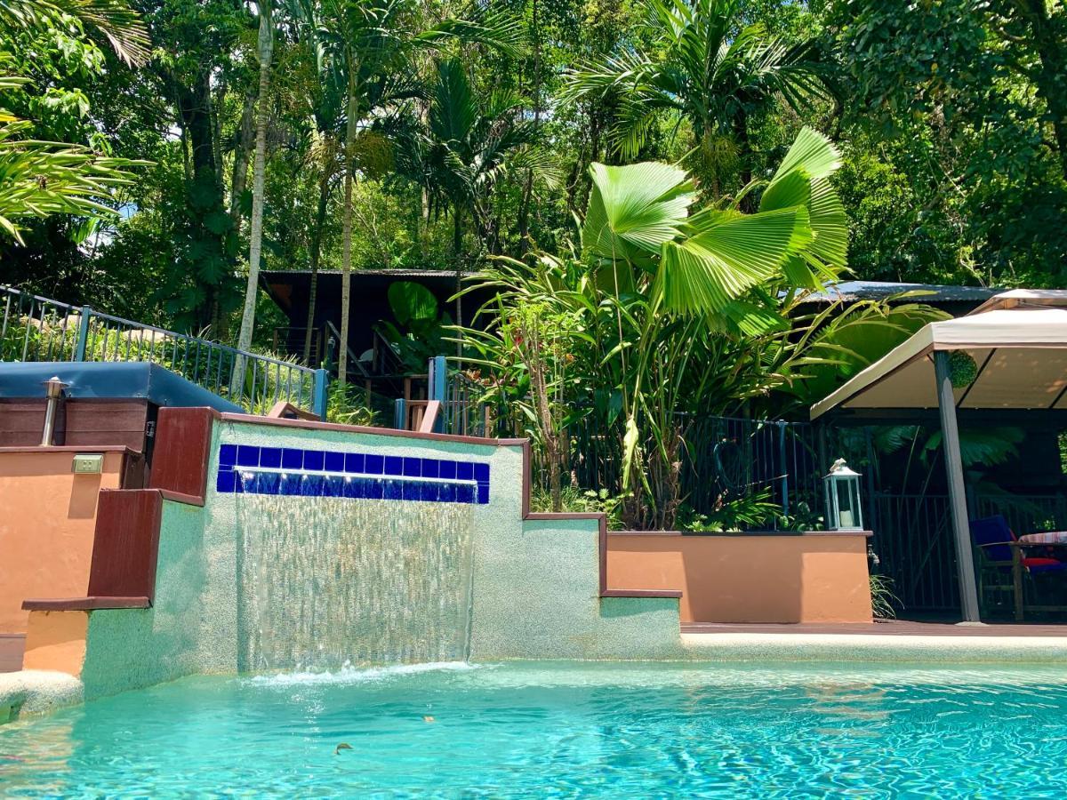 Cairns Rainforest Retreat Extérieur photo