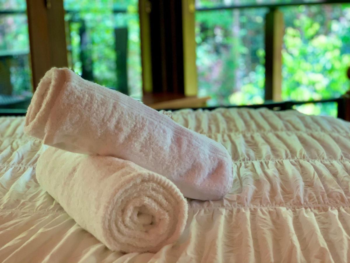 Cairns Rainforest Retreat Extérieur photo