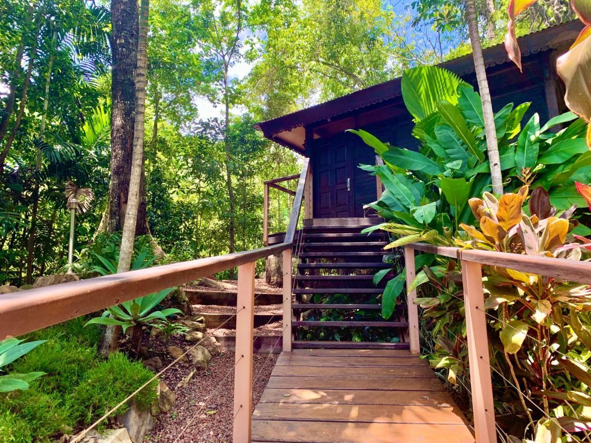 Cairns Rainforest Retreat Extérieur photo
