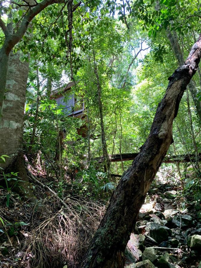 Cairns Rainforest Retreat Extérieur photo