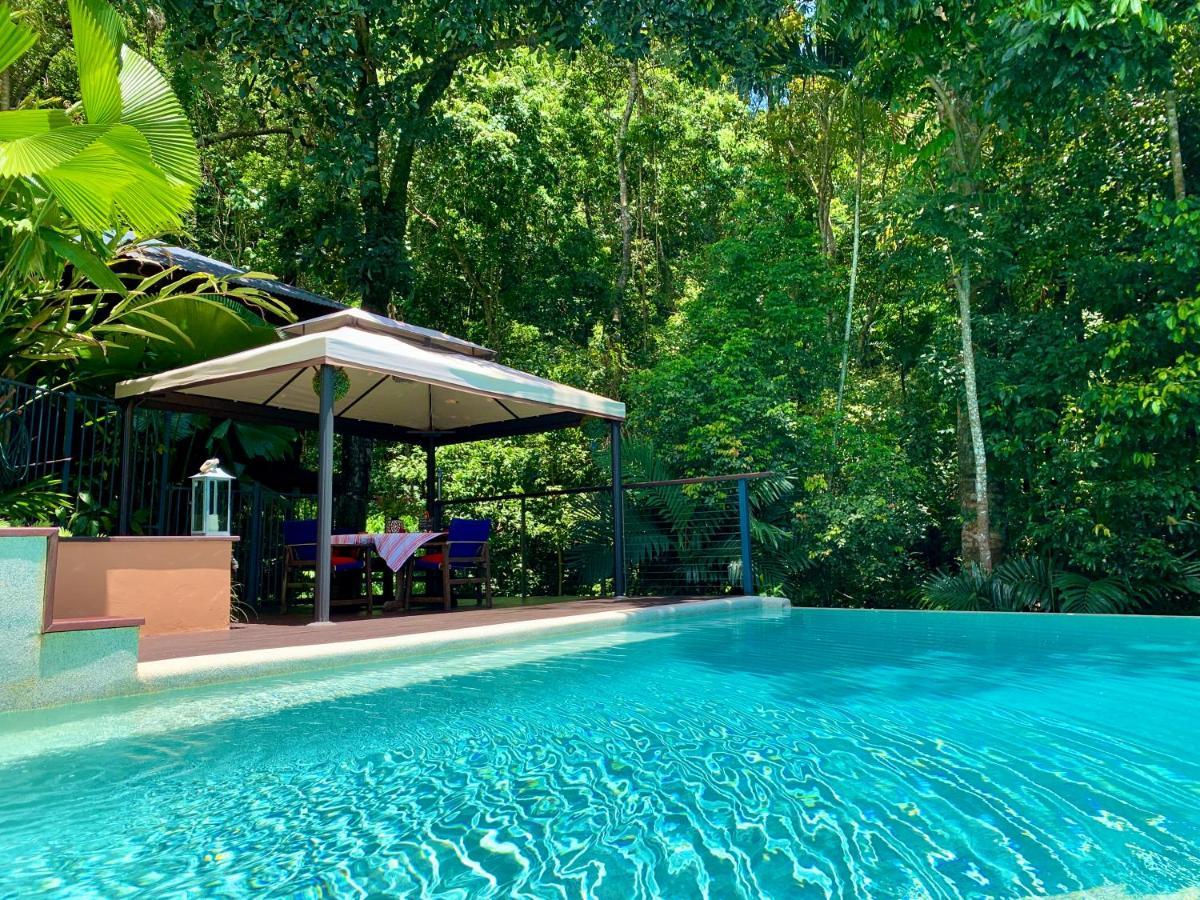 Cairns Rainforest Retreat Extérieur photo
