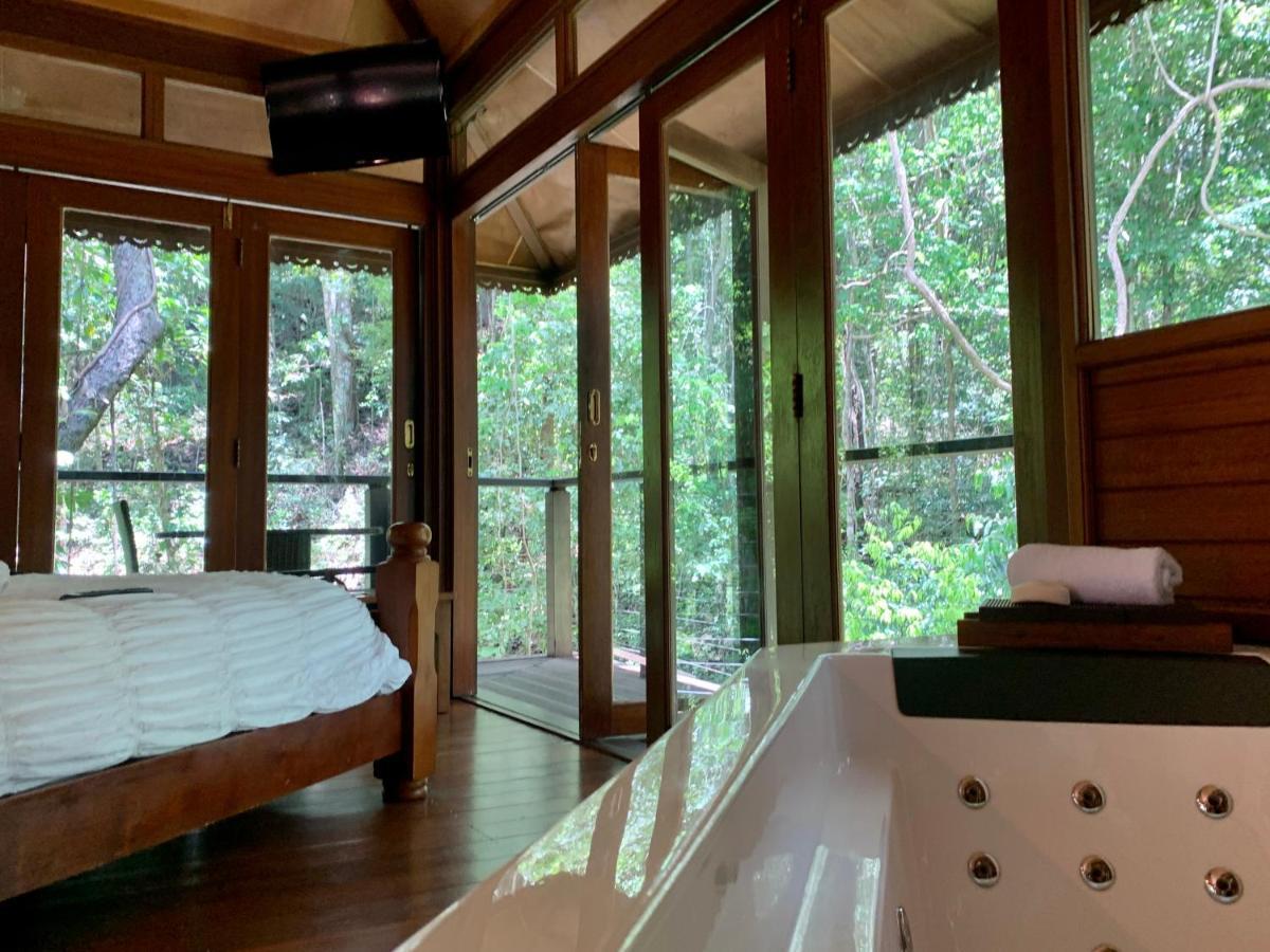 Cairns Rainforest Retreat Extérieur photo