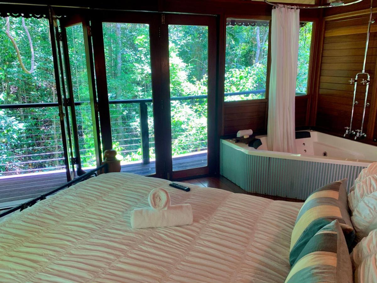 Cairns Rainforest Retreat Extérieur photo